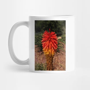 Red desert flower Mug